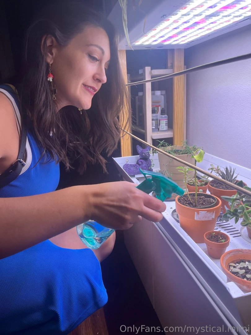 Taking care of some plant babies and also letting the cat-like part 1 