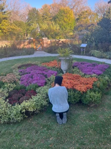 Don t forget to stop and smell the roses and all that