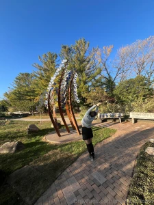 Art is altered perspective