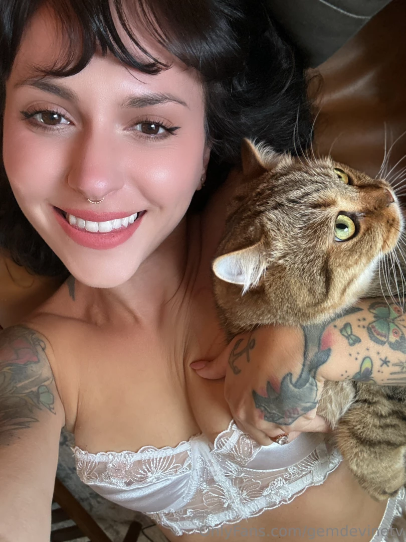Do you have a pet i have 2 cats - this one s name is rocky part 1 