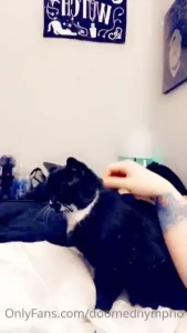 Peep my cat dexter who was spying on me in my previous video getting