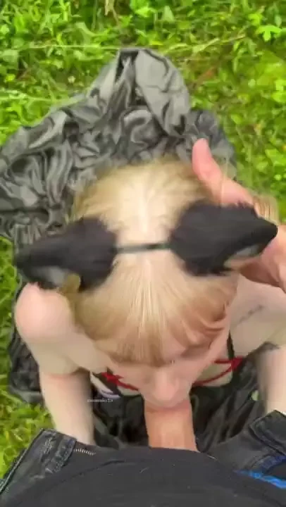 Pov you found a kitty in the woods 