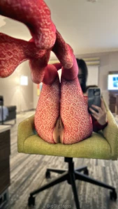 Happy thanksgiving everyone part 31