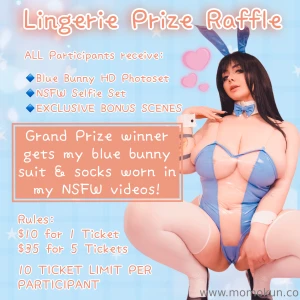 Campaign is closed blue bunny used lingerie raffle grand prize winner