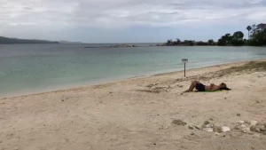 Welcome to jamaica new videos coming this week i am revamping content