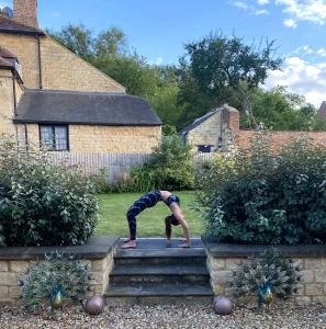 Pose of the day urdhva dhanurasana wheel pose