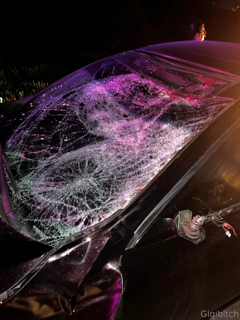 Just totalled my car hitting a fully grown female elk if anyone can part 1 