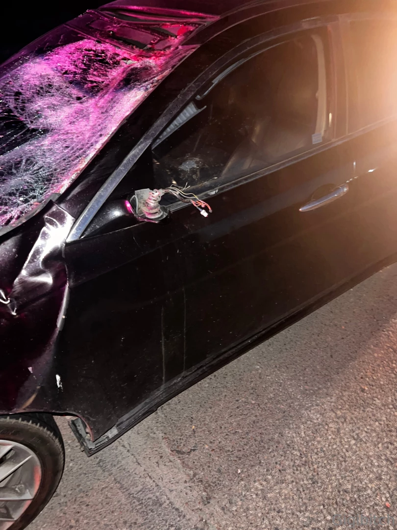 Just totalled my car hitting a fully grown female elk if anyone can part 2 