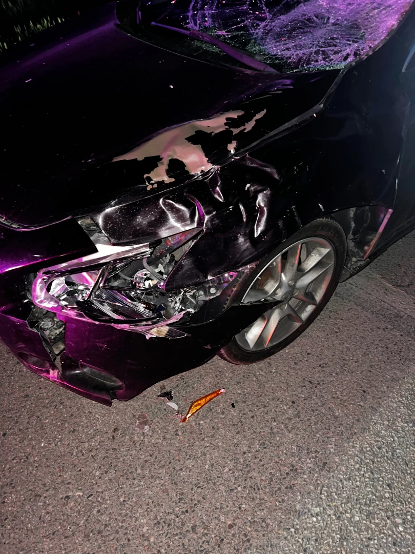 Just totalled my car hitting a fully grown female elk if anyone can part 3 