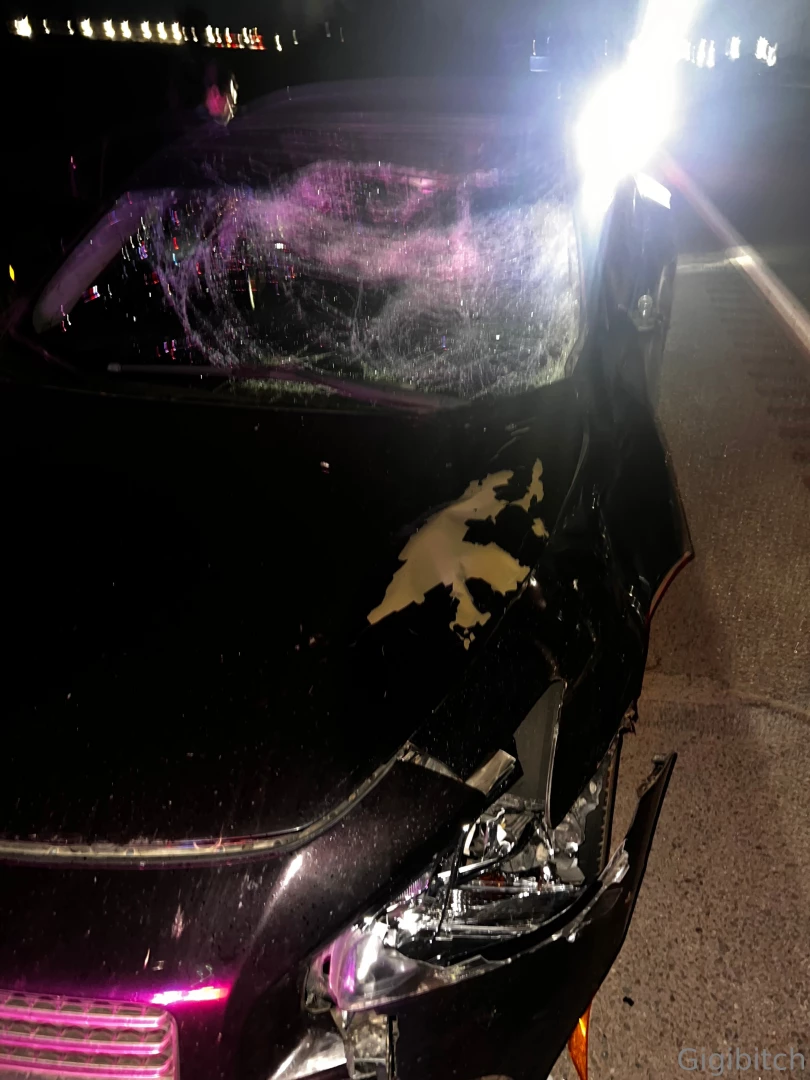 Just totalled my car hitting a fully grown female elk if anyone can 