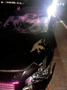 Just totalled my car hitting a fully grown female elk if anyone can