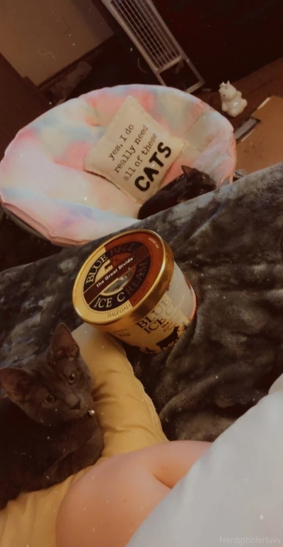 More kitty pics part 3 