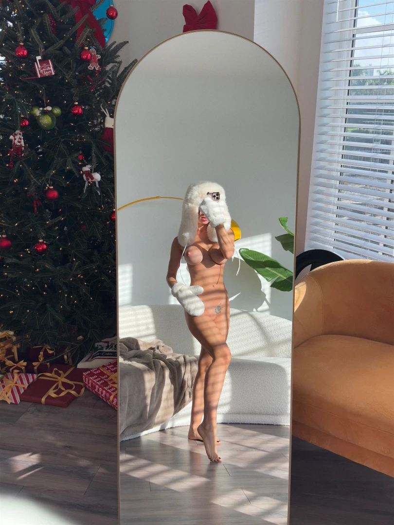 Merry christmas part 4471 