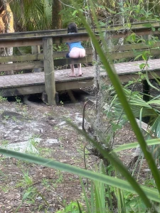 Spying on me i caught u part 2