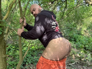 Dans la for t part 1