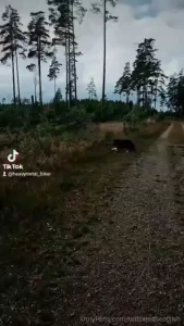 Managed to be out a bit before the thunderstorm came