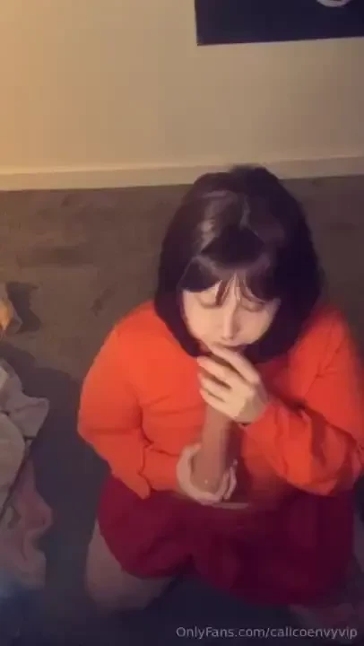 Since i can t film this week shark week you can have one velma freebie 