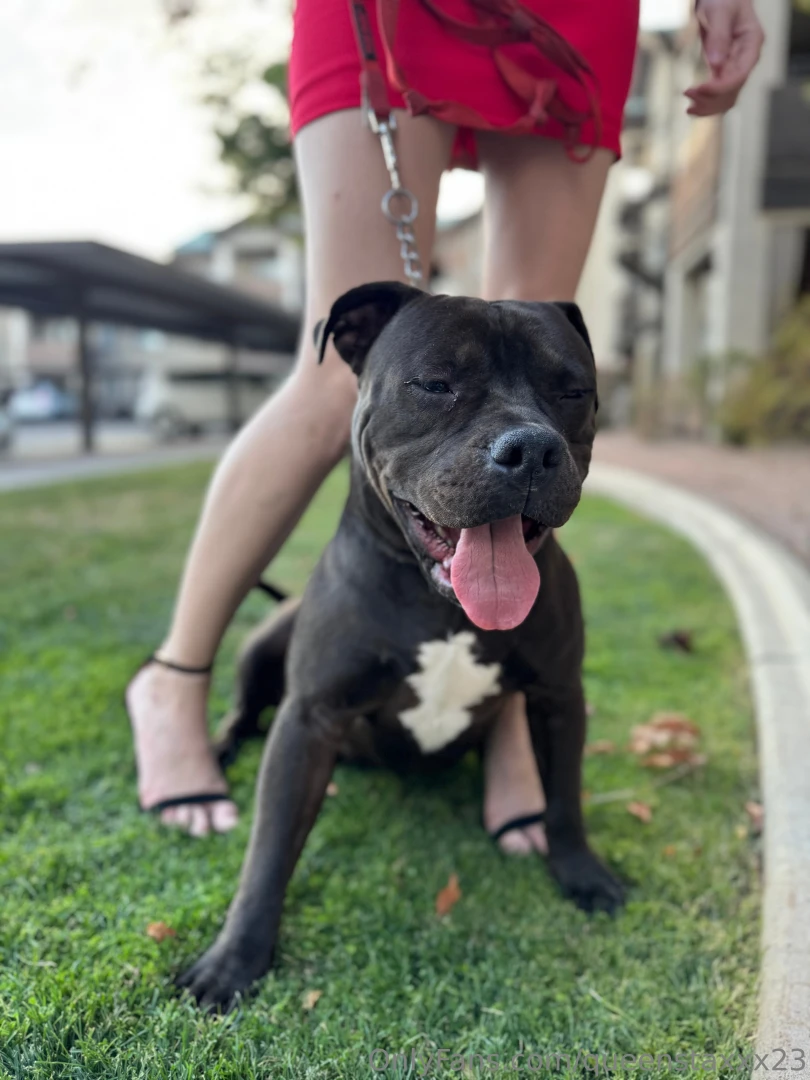 See more from our walk on my paid page thequeenstaxxx23 