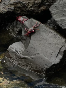 Winter always makes me think about warmer days so i wanna tell you part 6