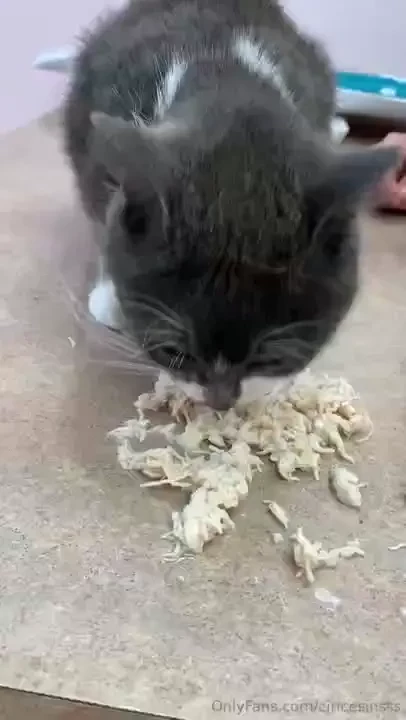 Incase anyone was curious where their money goes these are some of our 