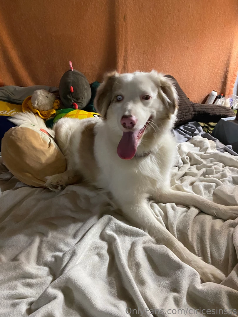 Incase anyone was curious where their money goes these are some of our part 2 