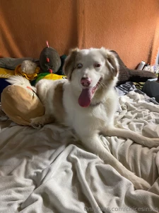 Incase anyone was curious where their money goes these are some of our part 2