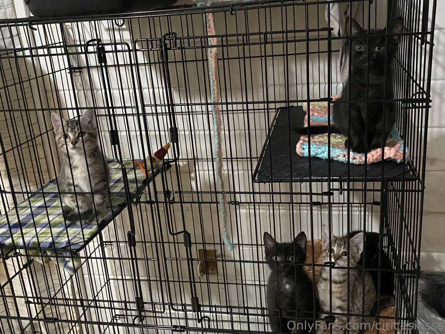 Incase anyone was curious where their money goes these are some of our part 1 