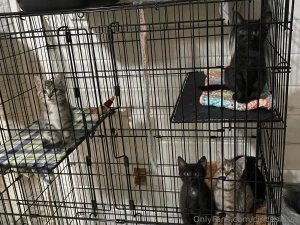 Incase anyone was curious where their money goes these are some of our part 1