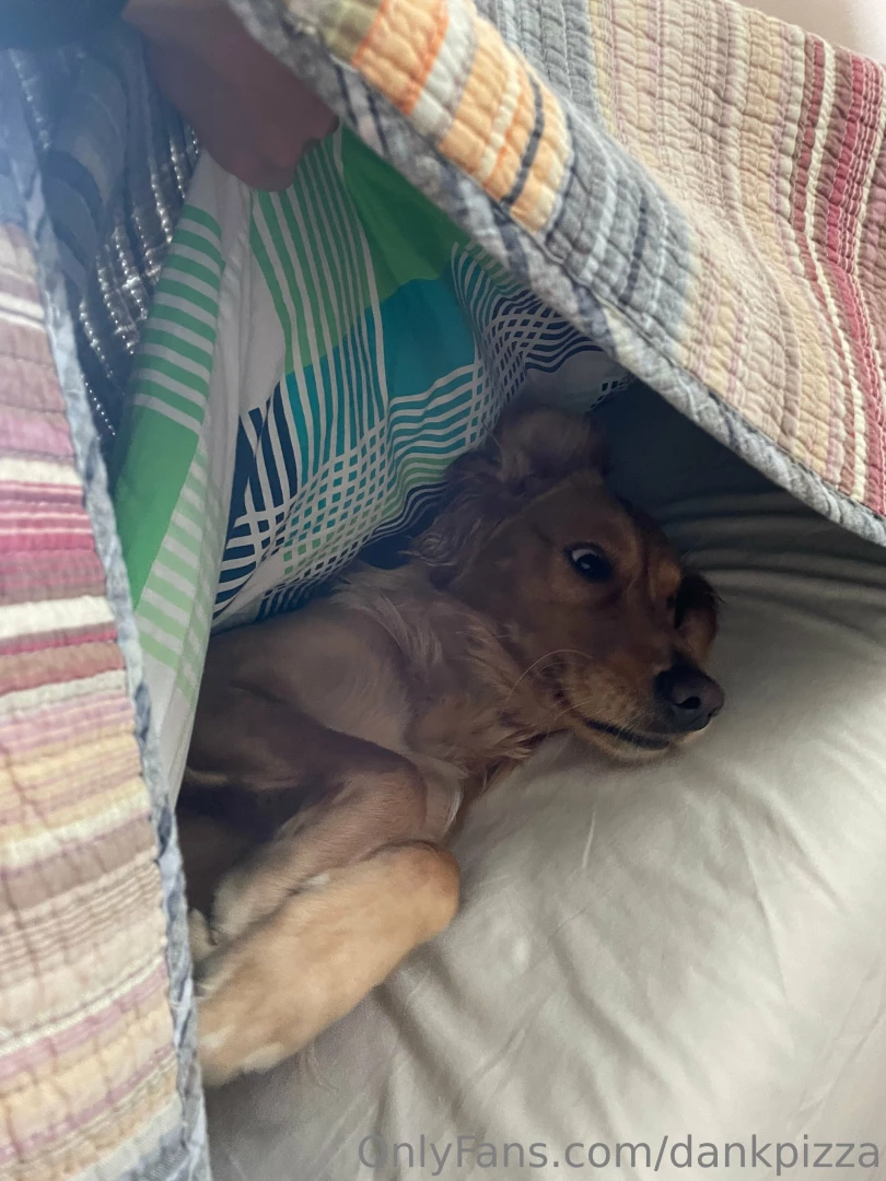 Guys i made the bed over my dog you can kinda tell in the background 