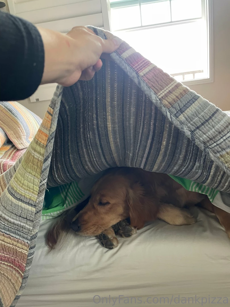 Guys i made the bed over my dog you can kinda tell in the background part 2 