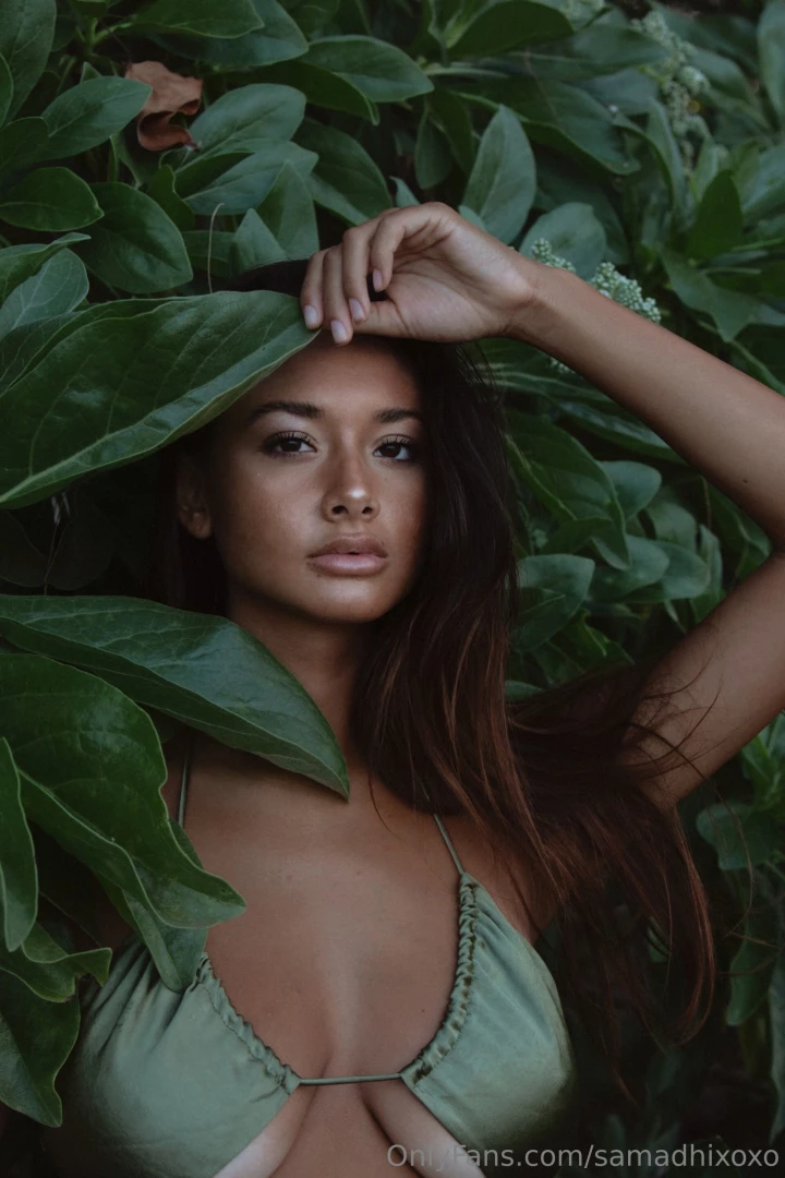 In the bushes a series 