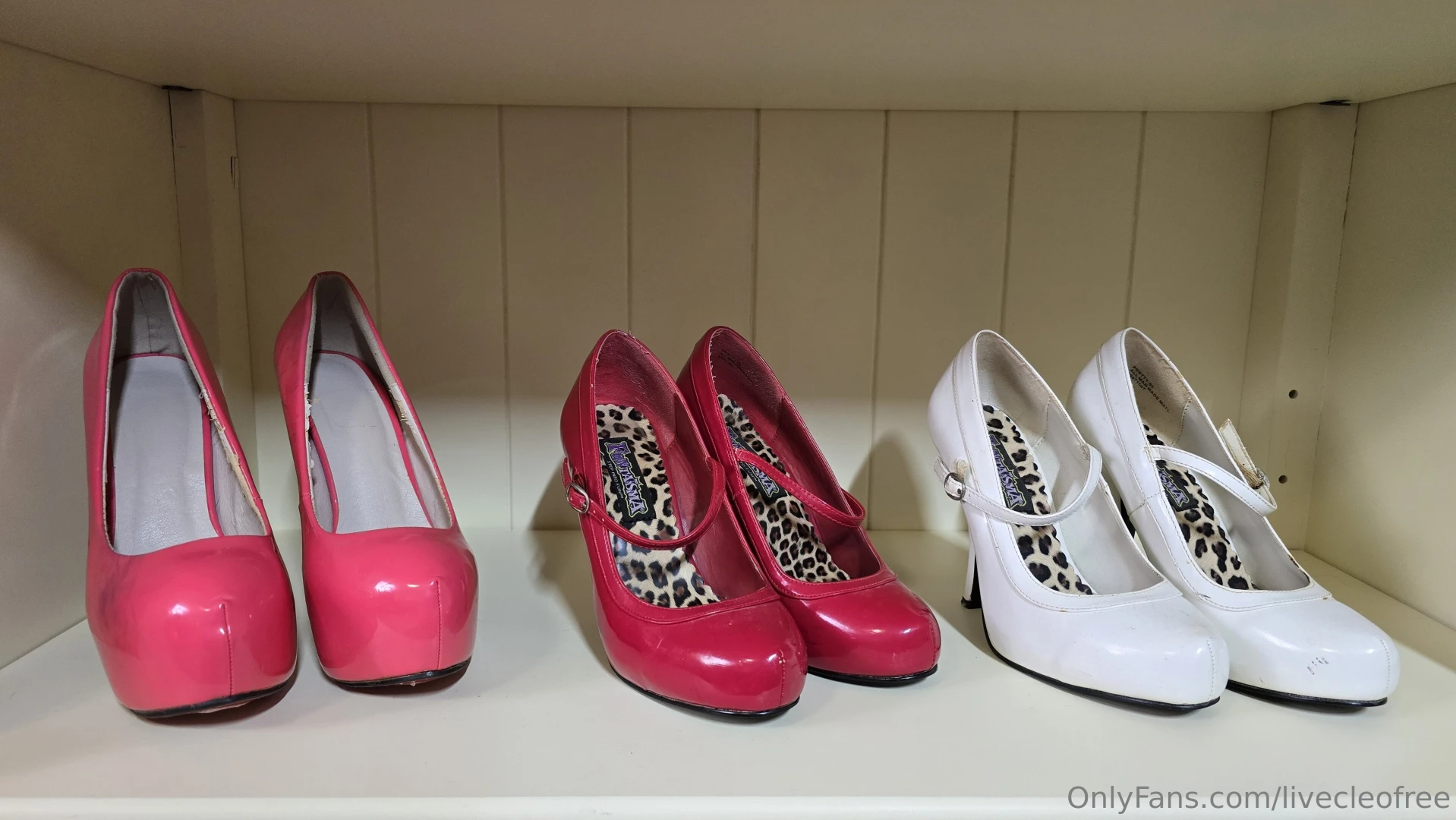 Everyday shoes well worn - 150 each squirted amp well worn shoes - 200 