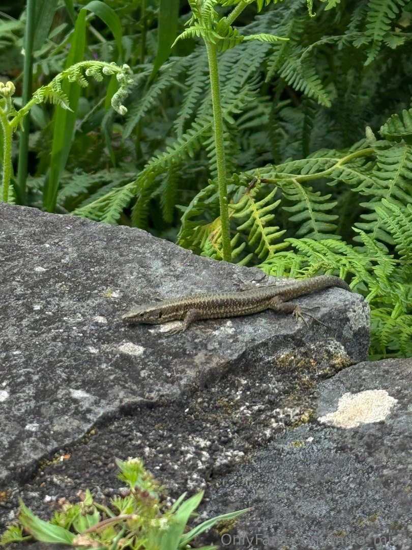 Photo dump madeira day 3 miko 3 part 3 