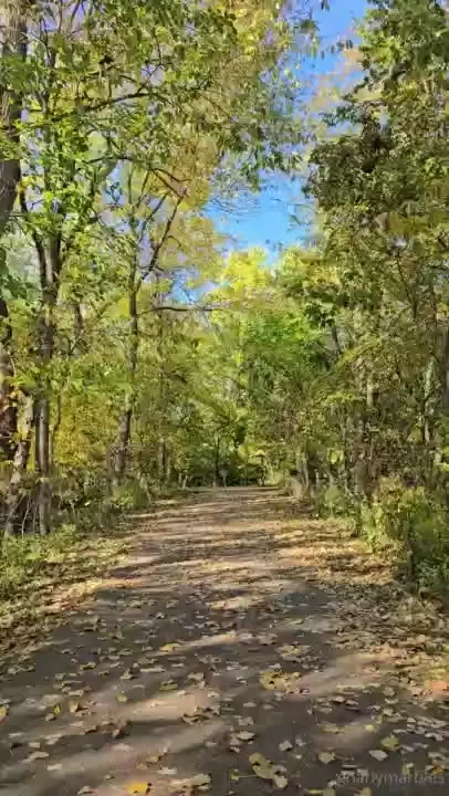 Full body workout and a sore 5 mile run walk part 4 