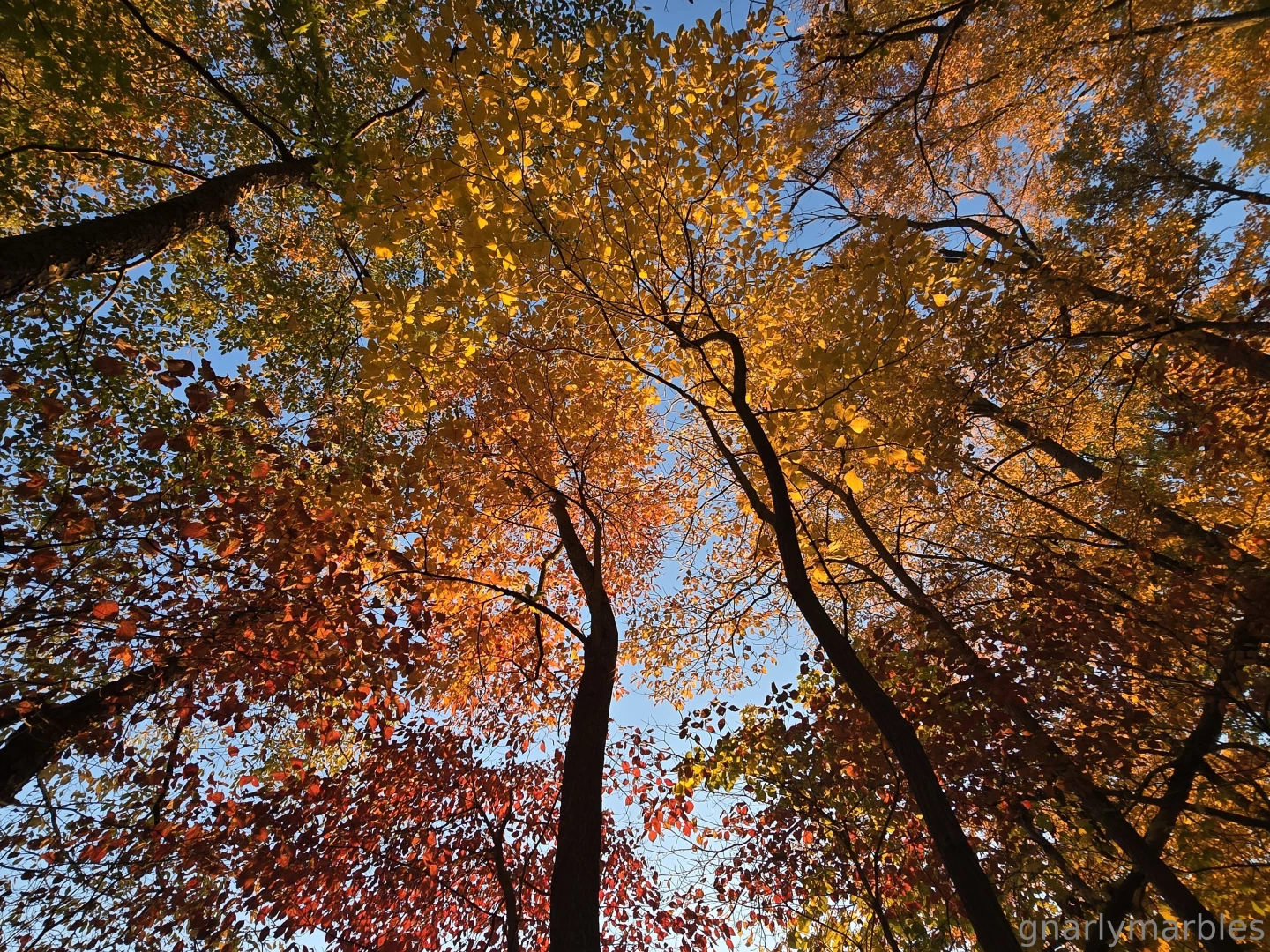 Full body workout and a sore 5 mile run walk part 2 