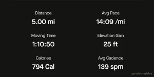 Full body workout and a sore 5 mile run walk part 3