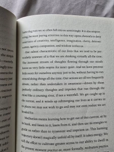 Ran a 5k today first time in 5 years part 1