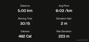 Another 5k today but 10k total feeling good i ran 7 5k total not part 4