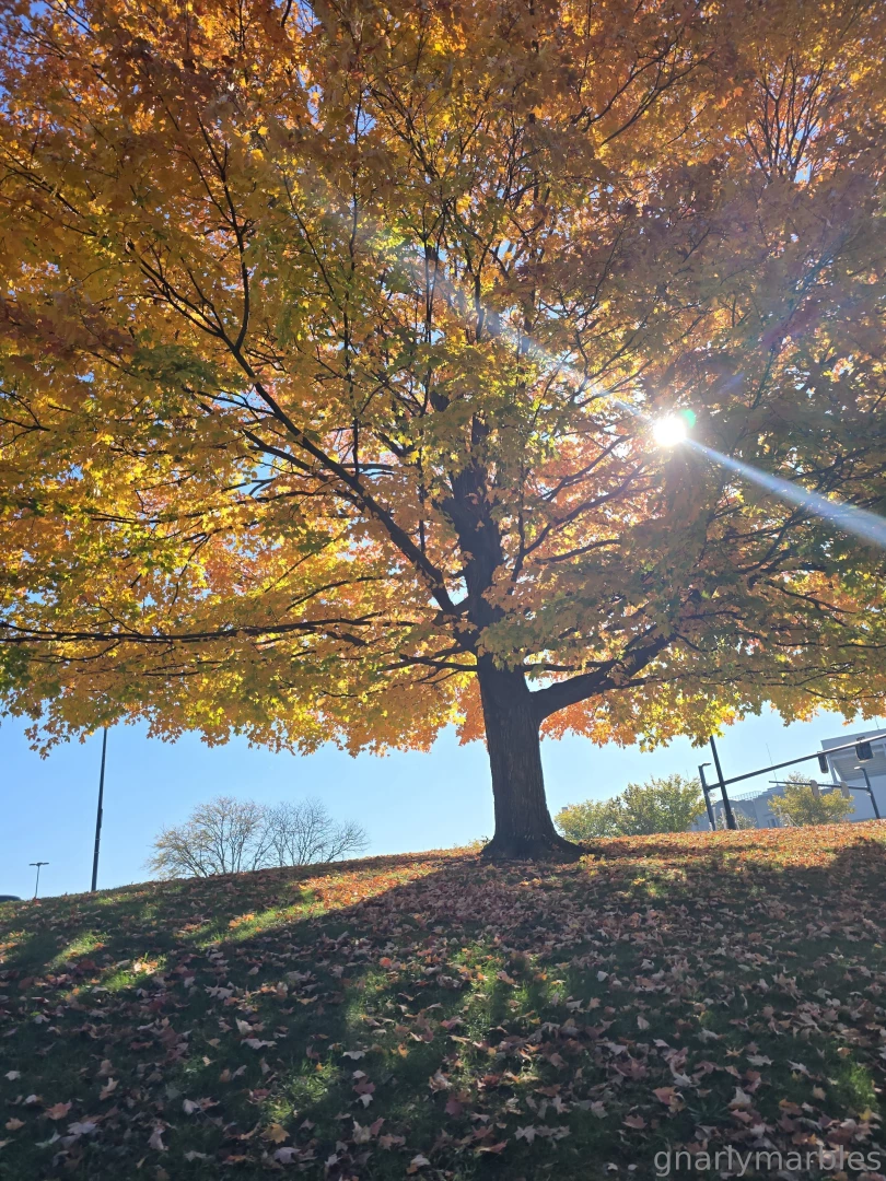 Another 5k today but 10k total feeling good i ran 7 5k total not part 3 