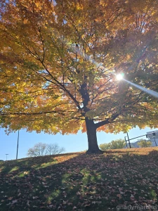 Another 5k today but 10k total feeling good i ran 7 5k total not part 3