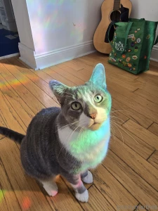 Another 5k today but 10k total feeling good i ran 7 5k total not part 2