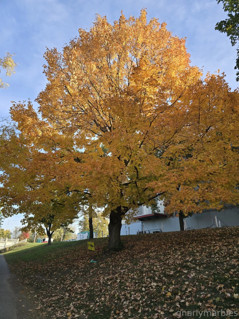 Monday vibes part 29 