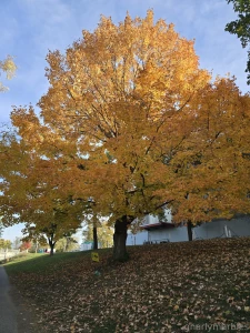 Monday vibes part 29