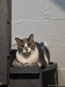 Monday vibes part 33