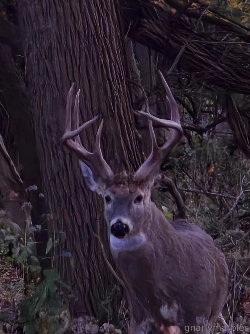 Monday vibes part 32 