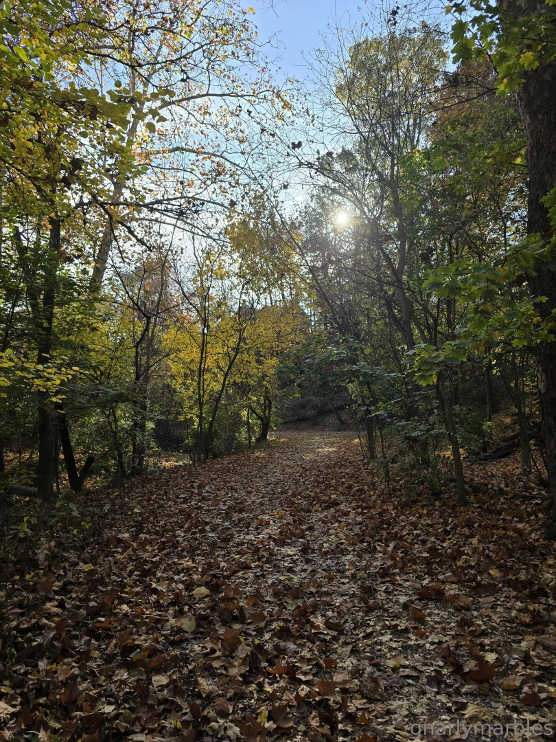 Gnarlymarbles part 1 