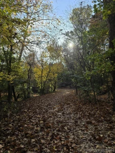 Gnarlymarbles part 1