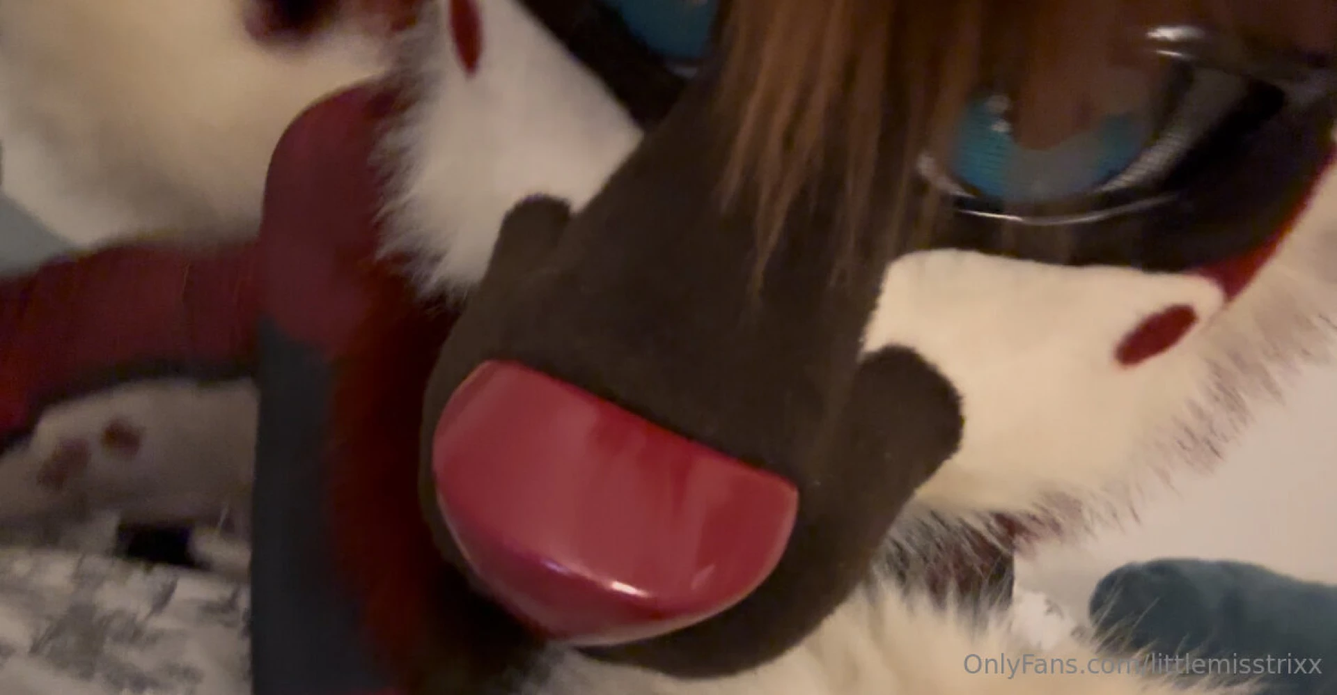 Some self pleasure content because sometimes the queen knows best 