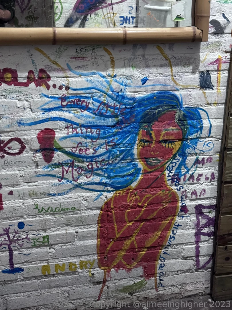 You never know what to expect in bathrooms - i took a fancy to this part 2 