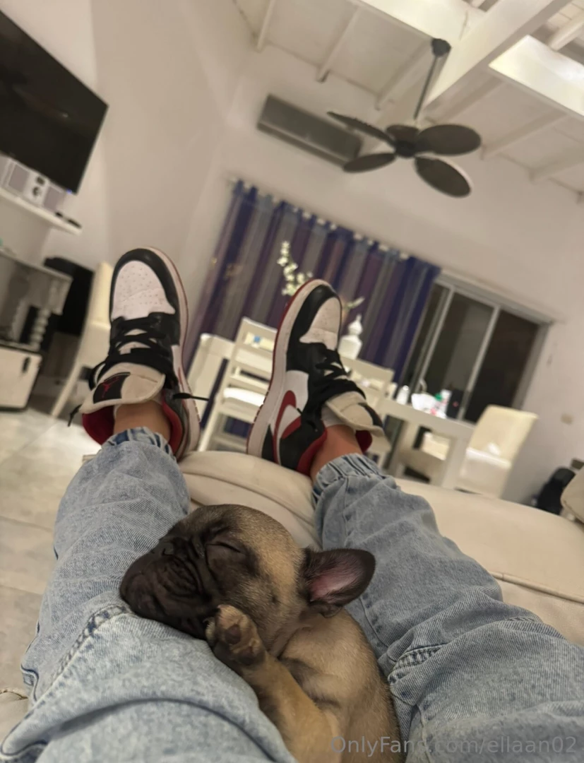 Someone s dreaming 